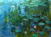 Nympheas Claude Monet